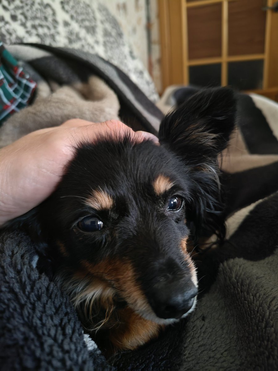 зови меня cosmos детка tweet media