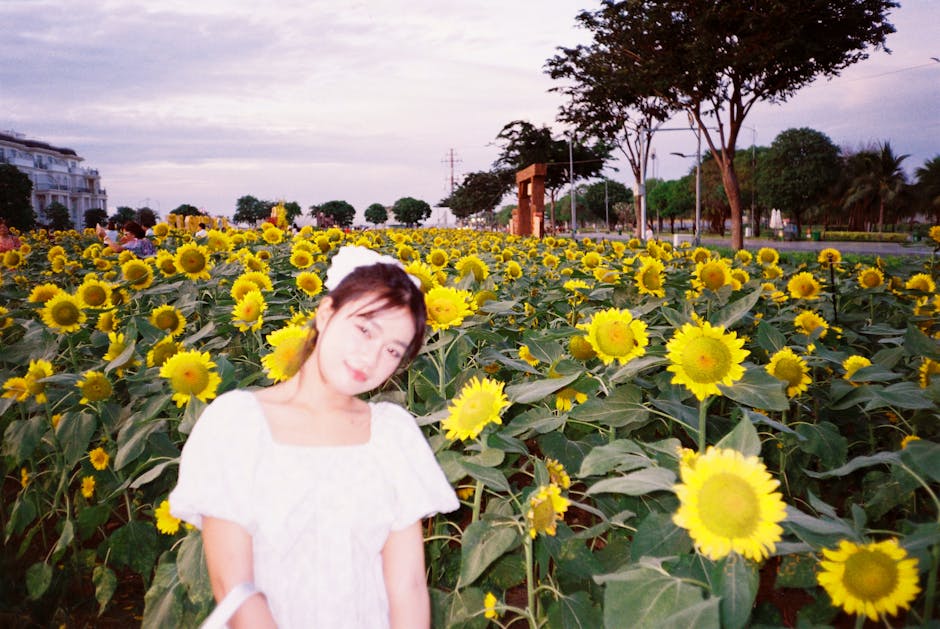 Vincent Collins tweet media