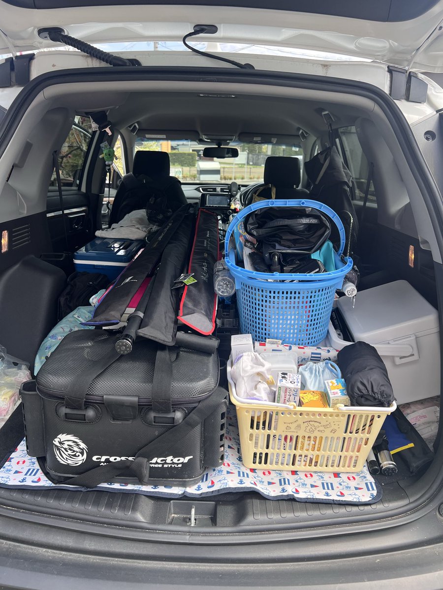 めだきのこ tweet media