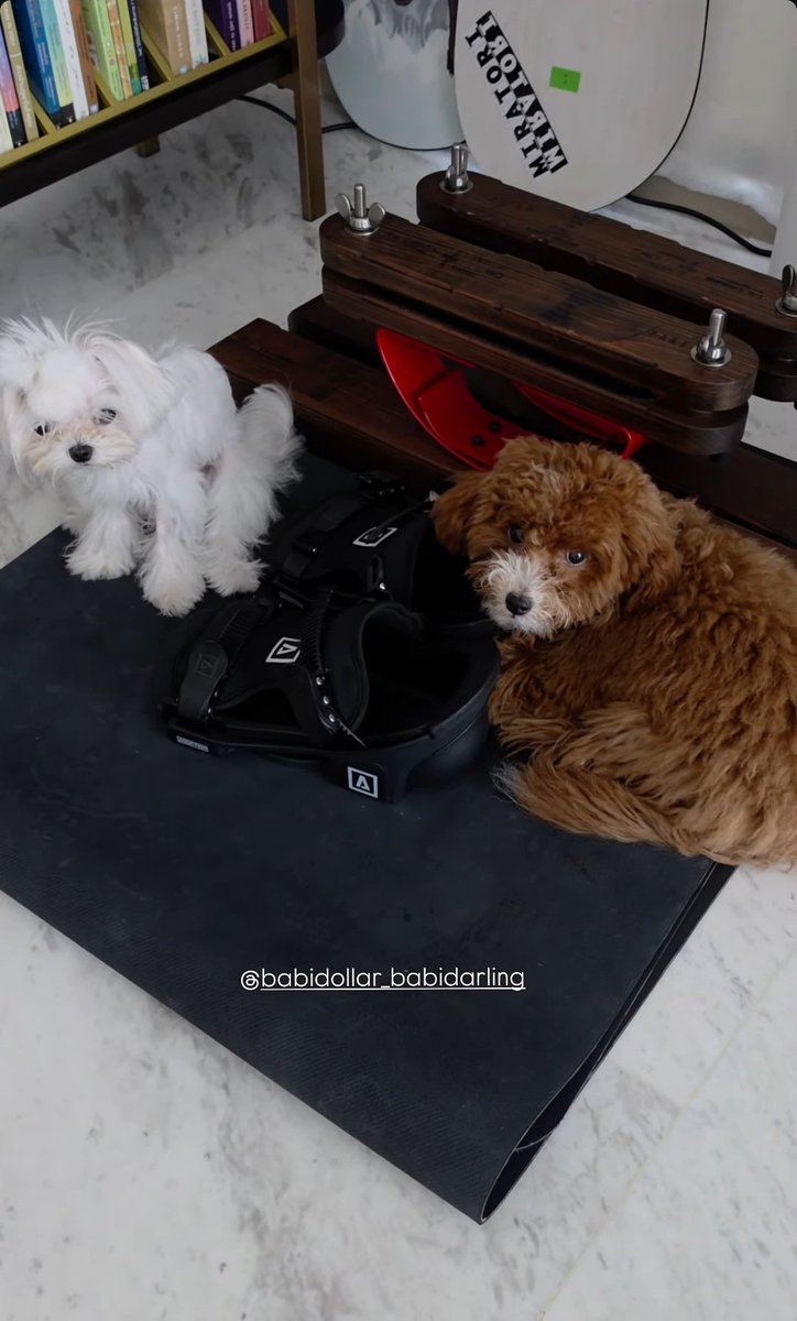 MAMEAWKUNGG 💫 (แคปทวิตคิด 5 พัน) 🪐 ||| tweet media