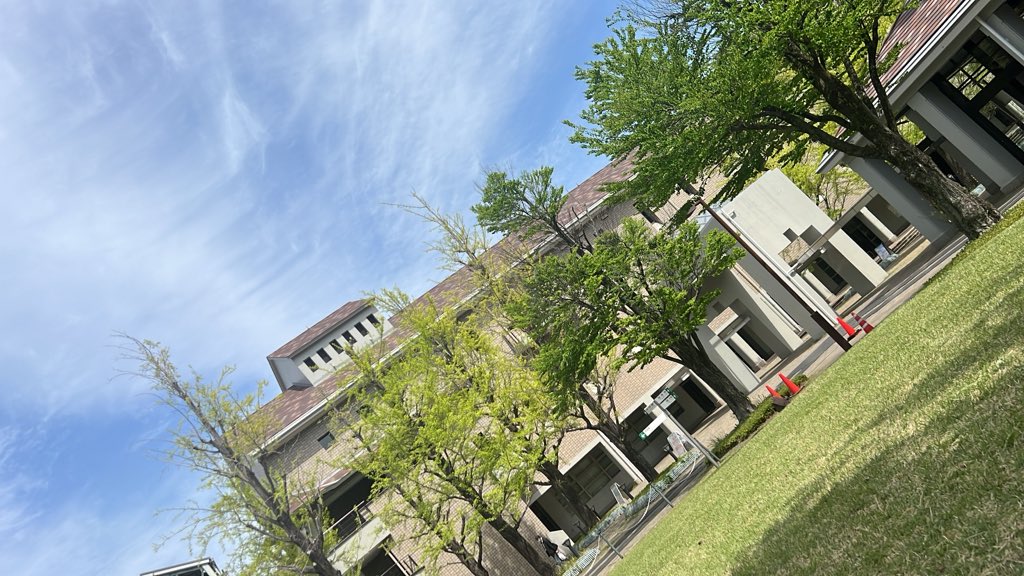 かちょか（しらかま） tweet media