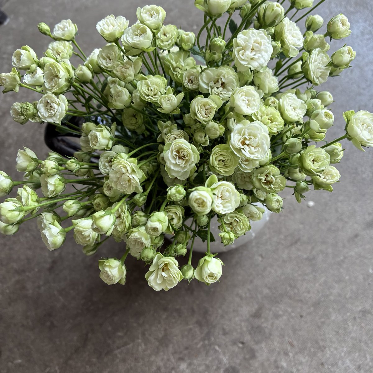 d`ici peu tweet media