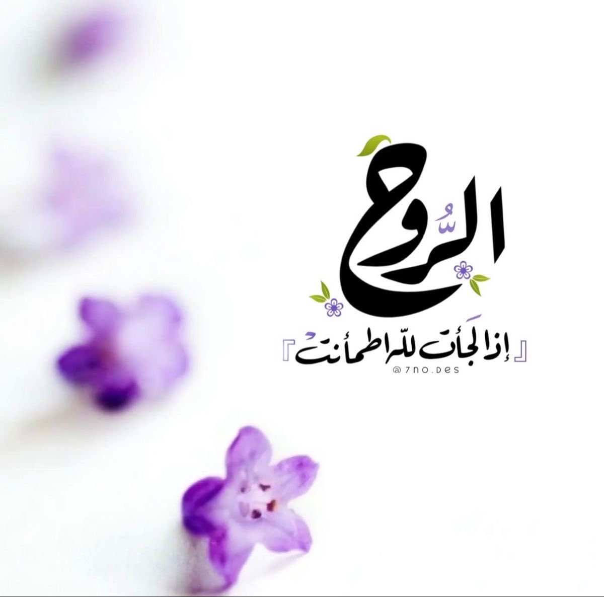 أم الريم 💕 tweet media