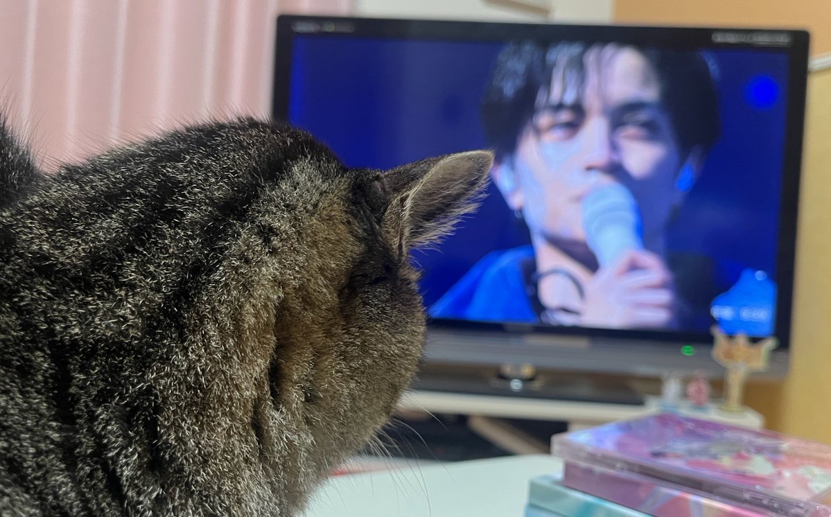 み よ🐱 tweet media