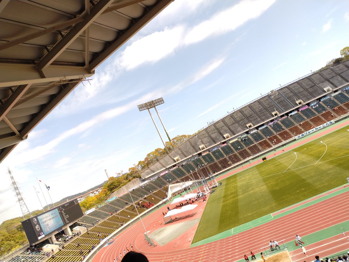 ミート tweet media