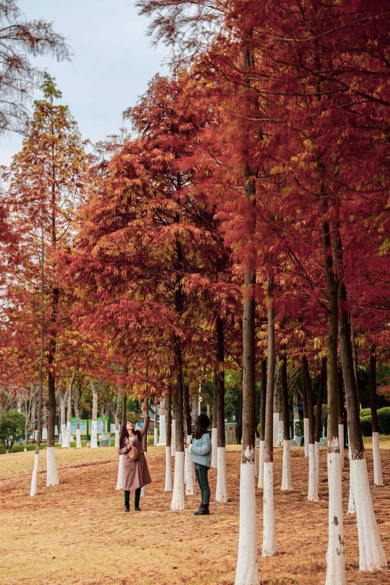 Tracy Carson Tracy tweet media