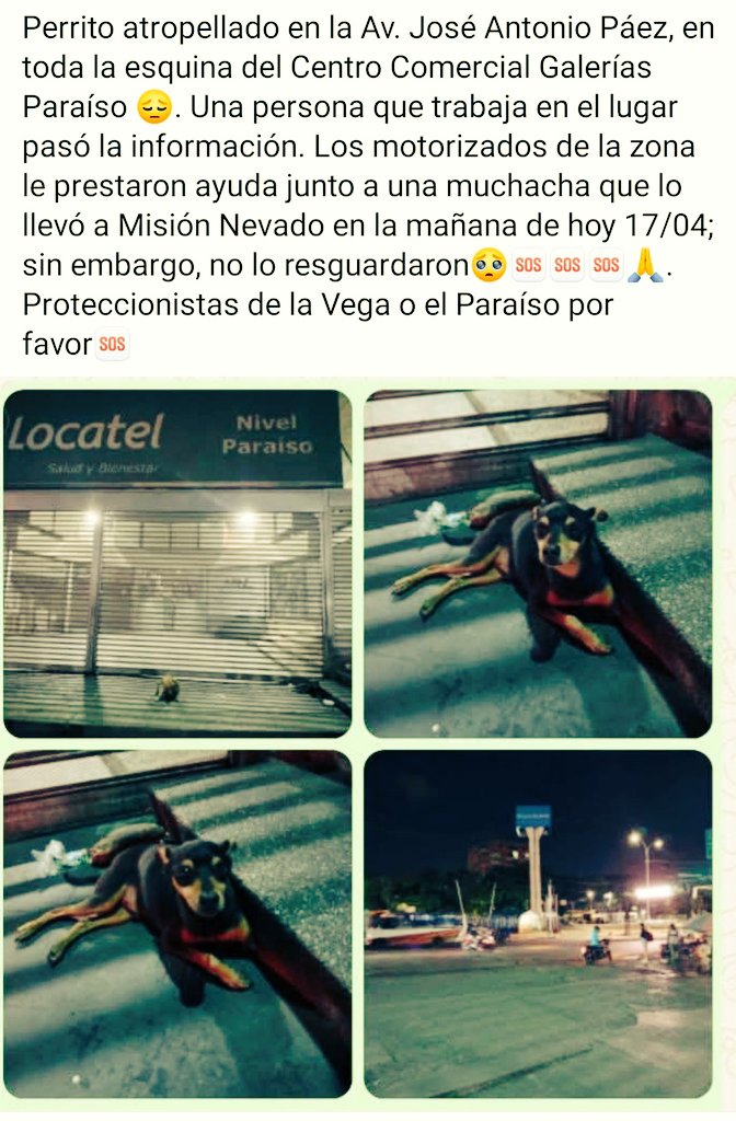 📲El Paraíso Now tweet media