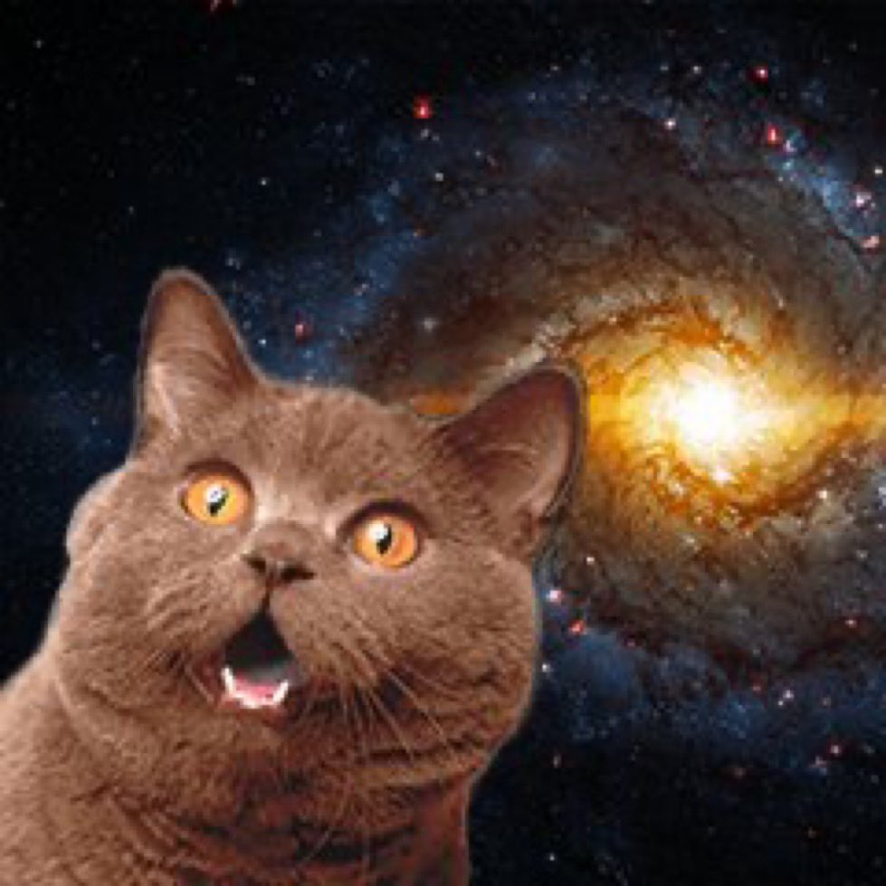 merry256 tweet media