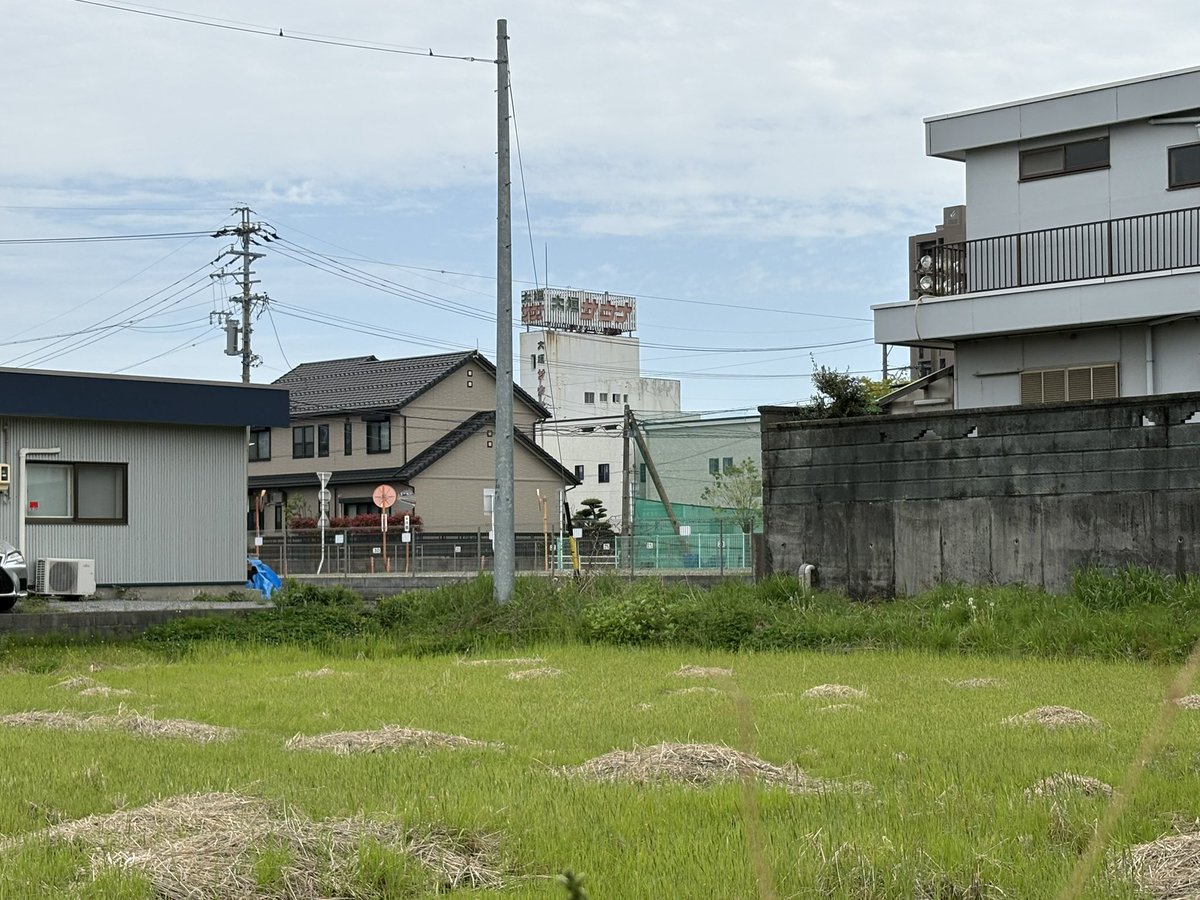 Sadowsky37's tweet photo. 徒歩で来た🚶 https://t.co/z8ZtdvBtzt