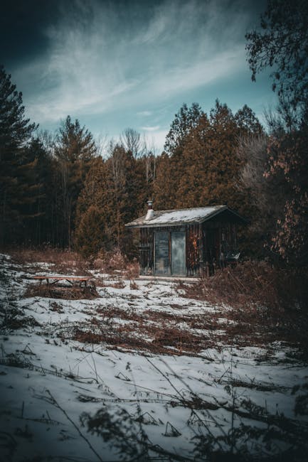 David Fletcher tweet media