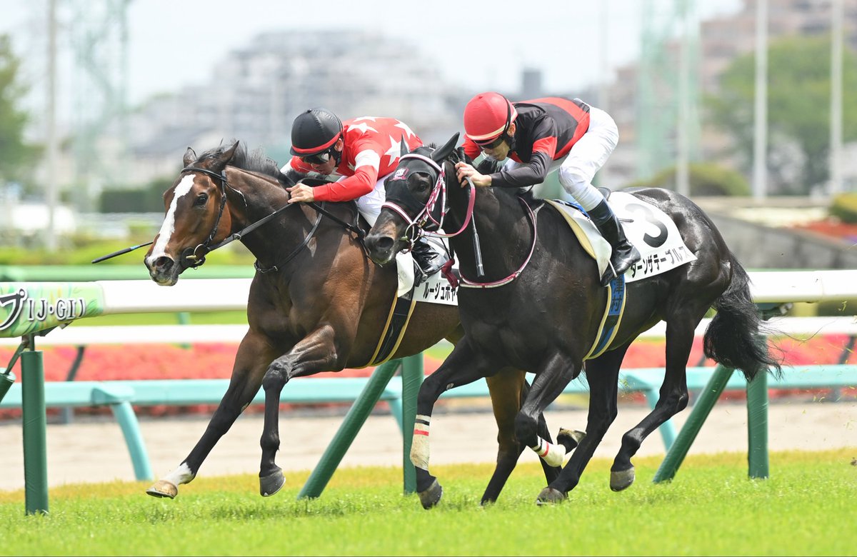 【公式】東京サラブレッドクラブ tweet media