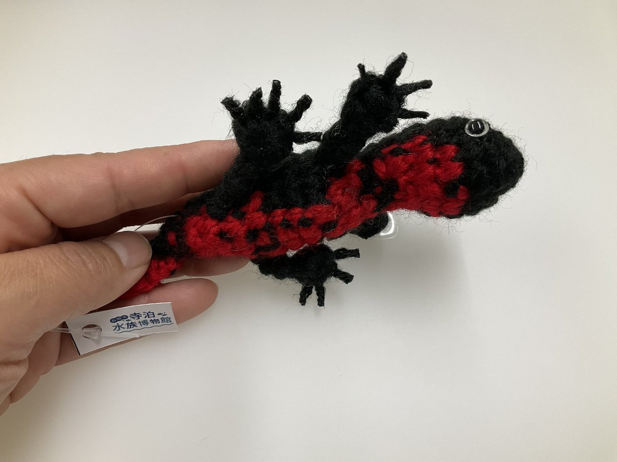 寺泊水族博物館【公式】 tweet media