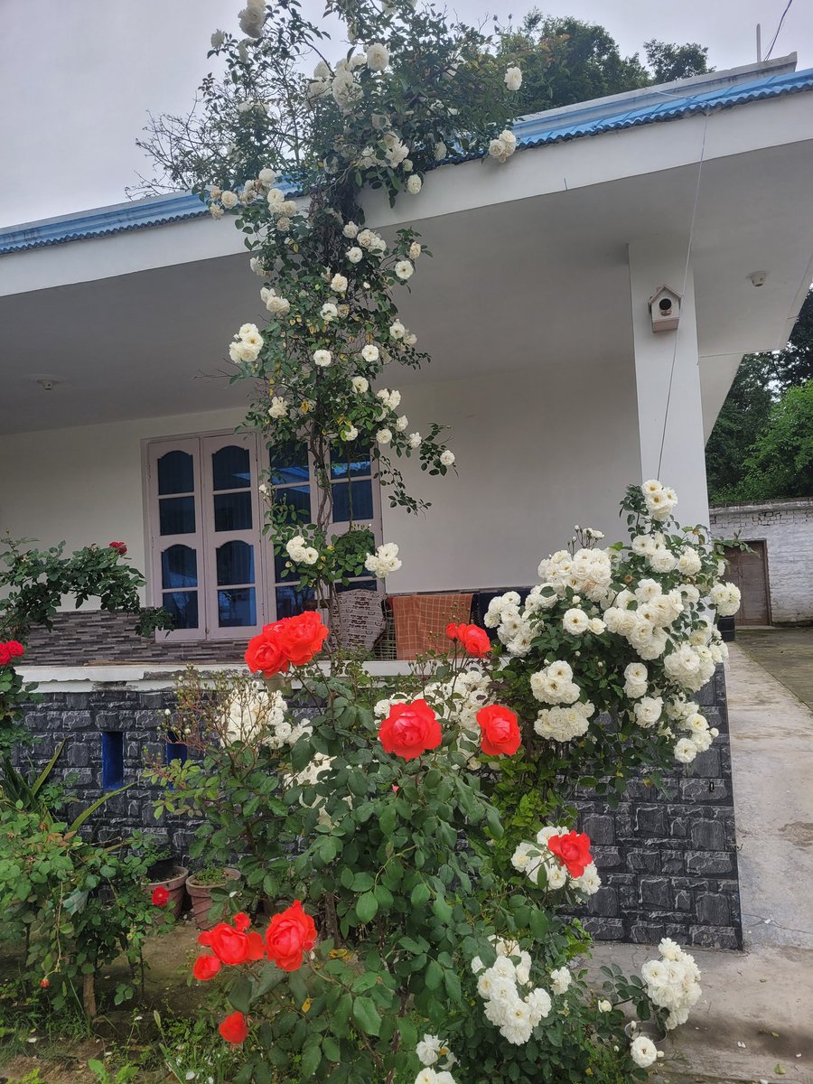 Col AJ🇮🇳 tweet media