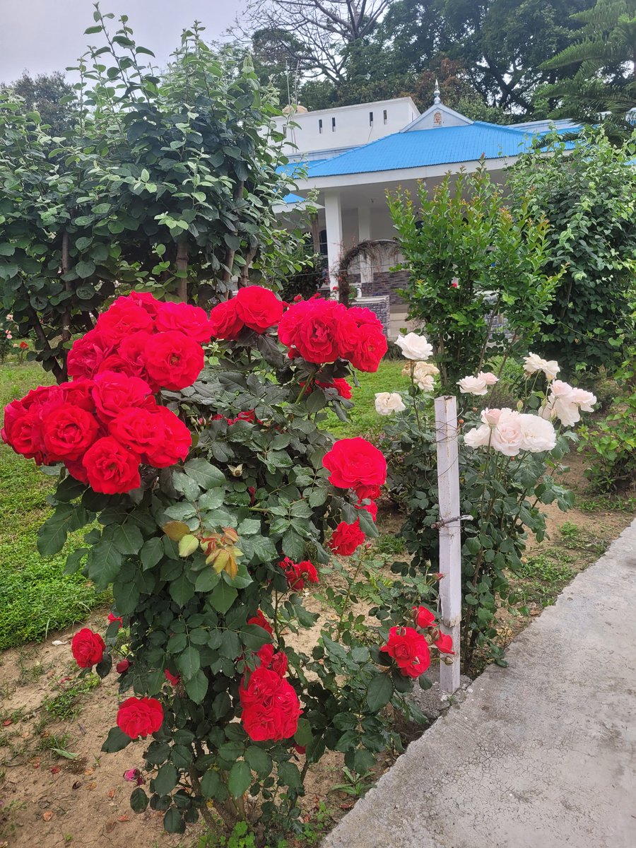 Col AJ🇮🇳 tweet media