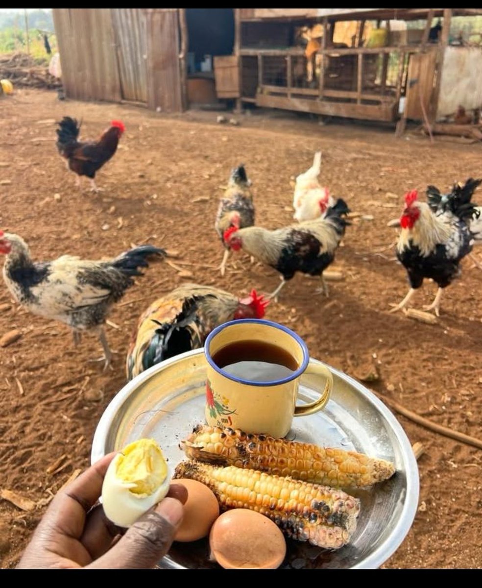 Pablo 🎱 tweet media