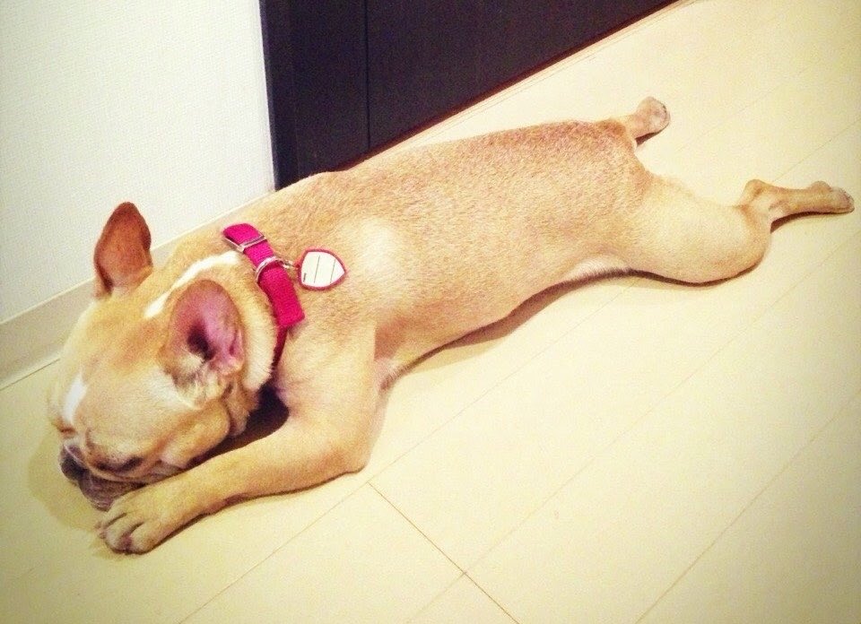 えんな tweet media