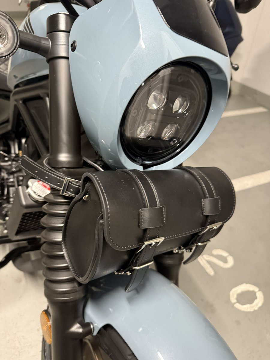 豹くん🐱 tweet media