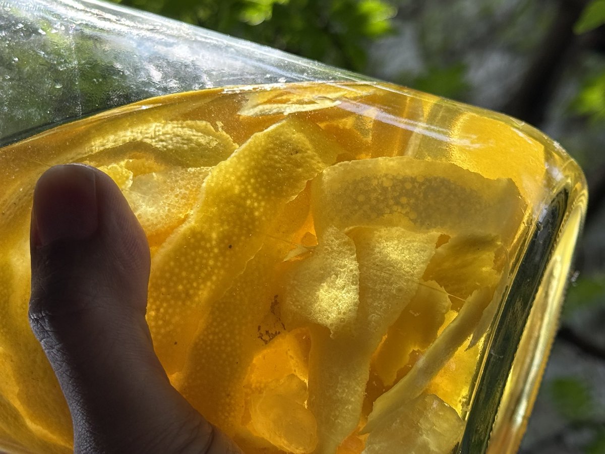 がまぴょん tweet media