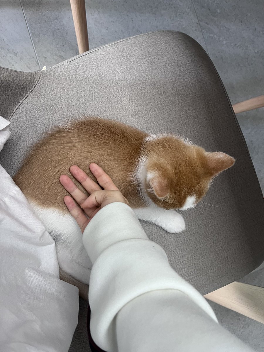 이대못가면죽는병걸림 tweet media