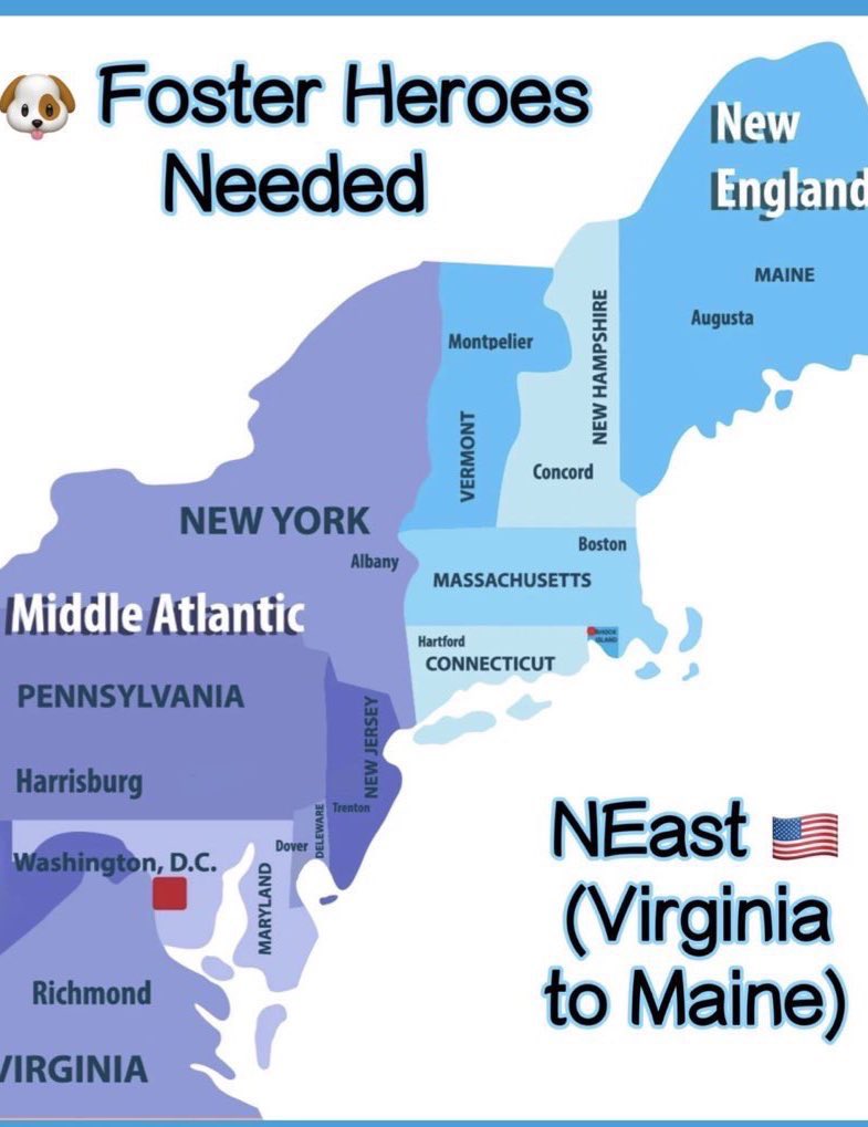 Wynjym's tweet image. 🆘YOU CAN SEE HOW LITTLE⏰TIME THEY ARE GIVEN

@NYCACC🆘NOT EVEN ENOUGH⏰TIME FOR PEOPLE TO

#PLEDGE EVEN, NEVER MIND THINKING ABOUT

#FOSTERING OR #ADOPTING‼️THIS WHOLE SET UP IS

DISGRACEFUL &amp;amp; HORRIFYING👹THESE FORMER #PETS 

DESERVE BETTER, MUCH BETTER‼️&amp;amp; MORE TIME⏰‼️