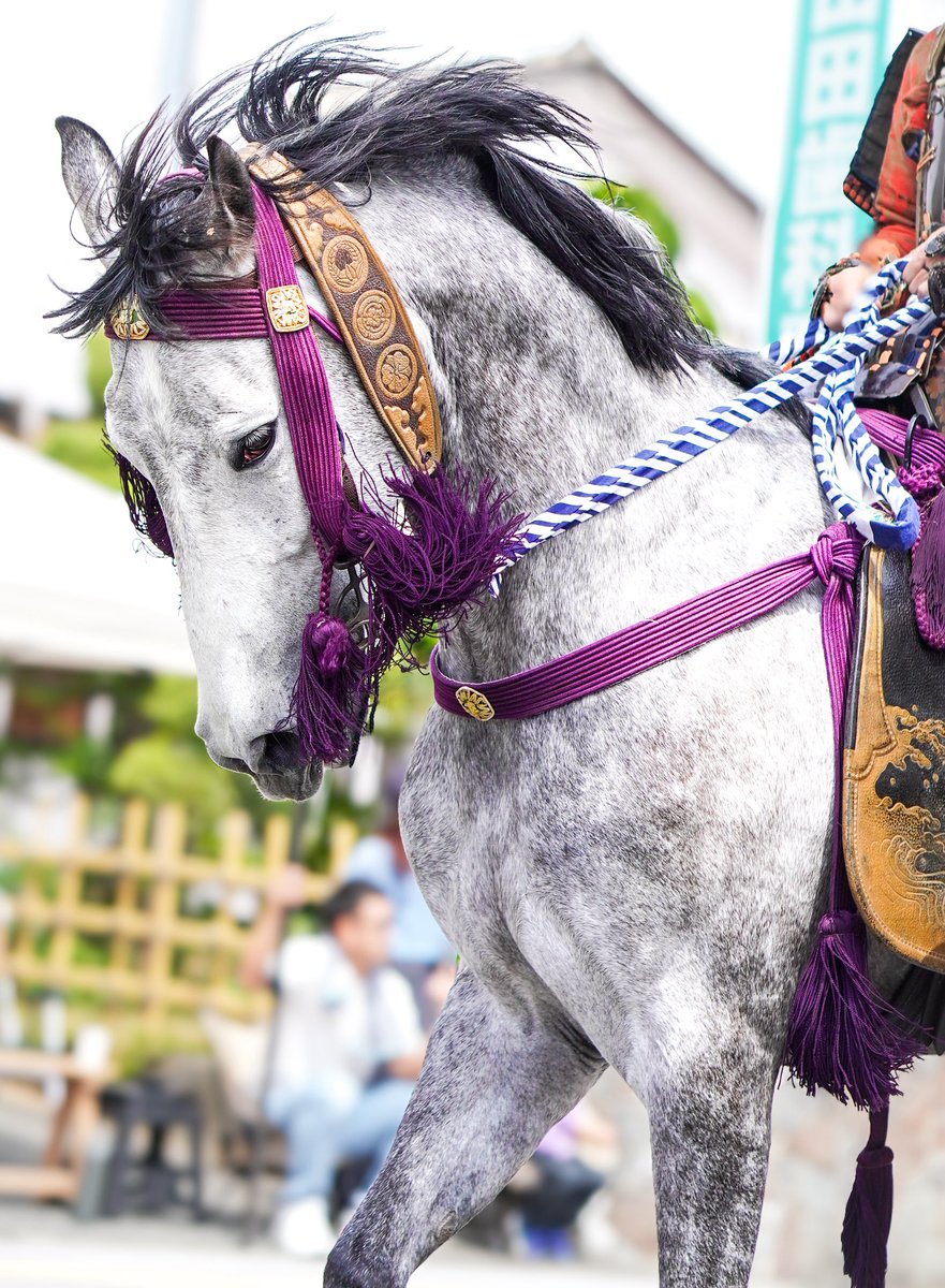 エド４世 tweet media