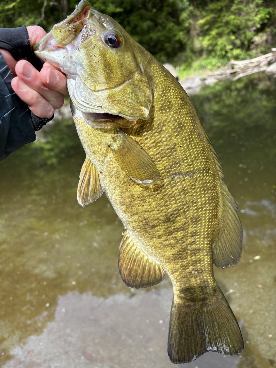 エソッチ tweet media