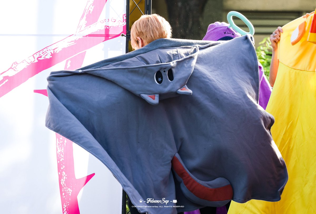 FebeverSep🐈🐈‍⬛ tweet media