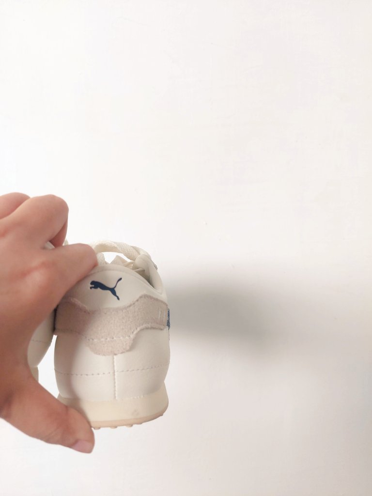 dav 🍣 tweet media