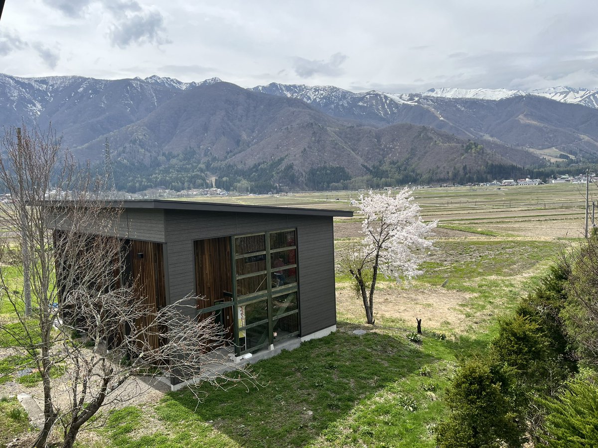 柏原周平 tweet media