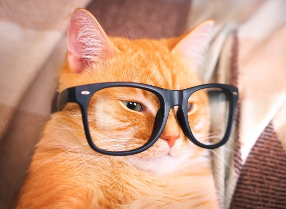 PW1991(Rest) tweet media