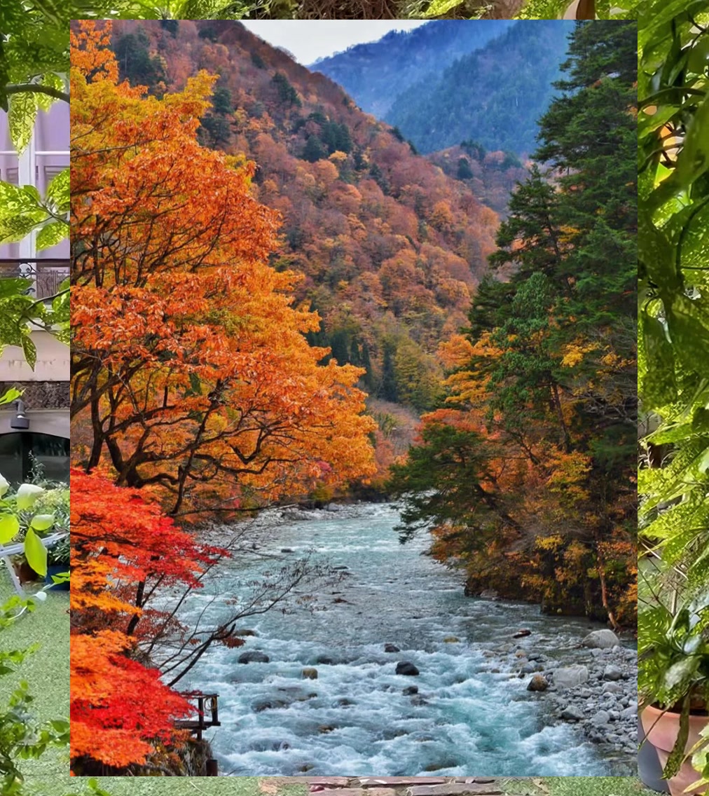 Bryan Castillo tweet media