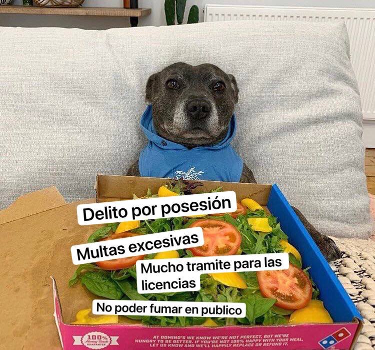 R. Pacheco tweet media