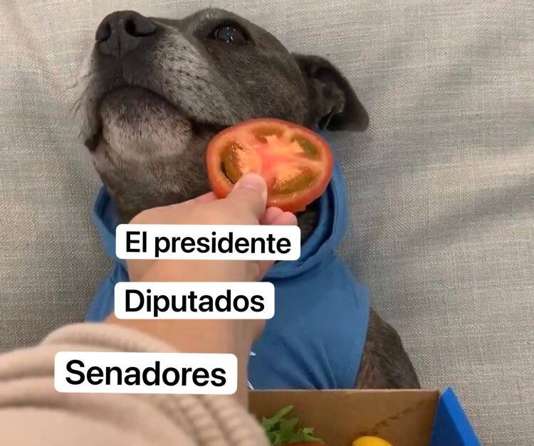 R. Pacheco tweet media