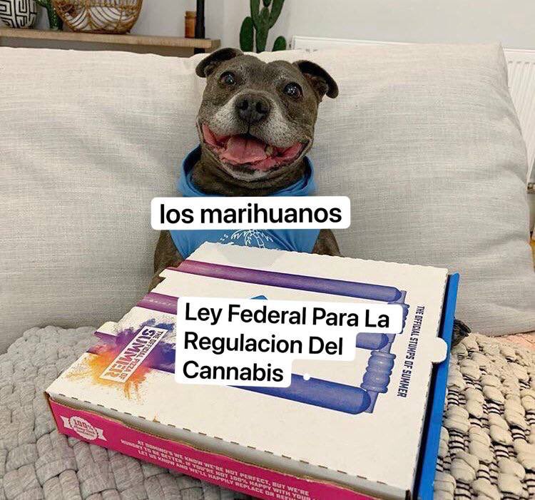 R. Pacheco tweet media