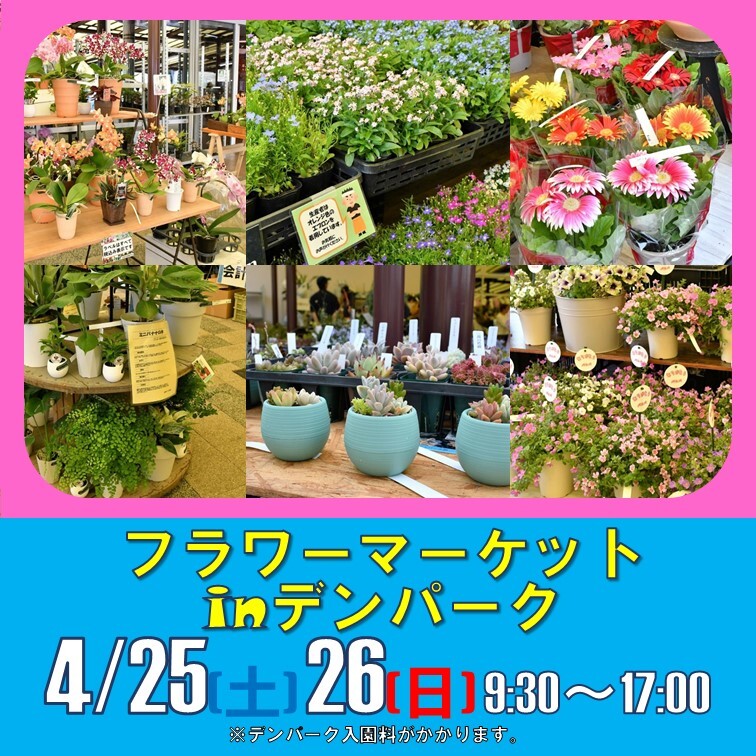 春と初夏の花壇苗や観葉植物などを生産者から直接ご購入できるチャンス