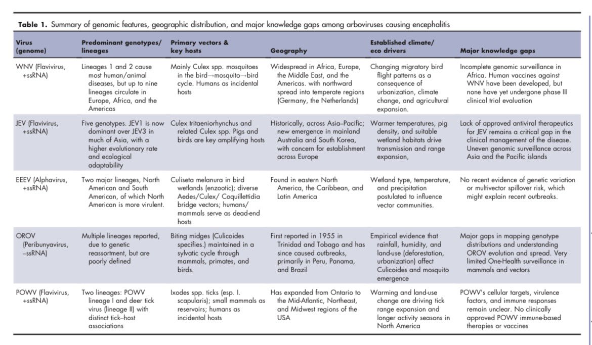 Alí Sebastian Meza tweet media