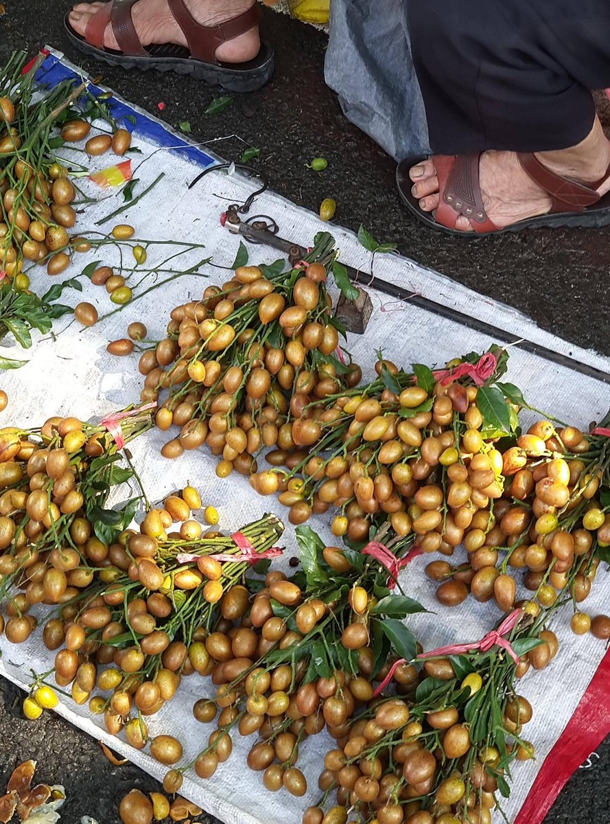 Max Noël tweet media