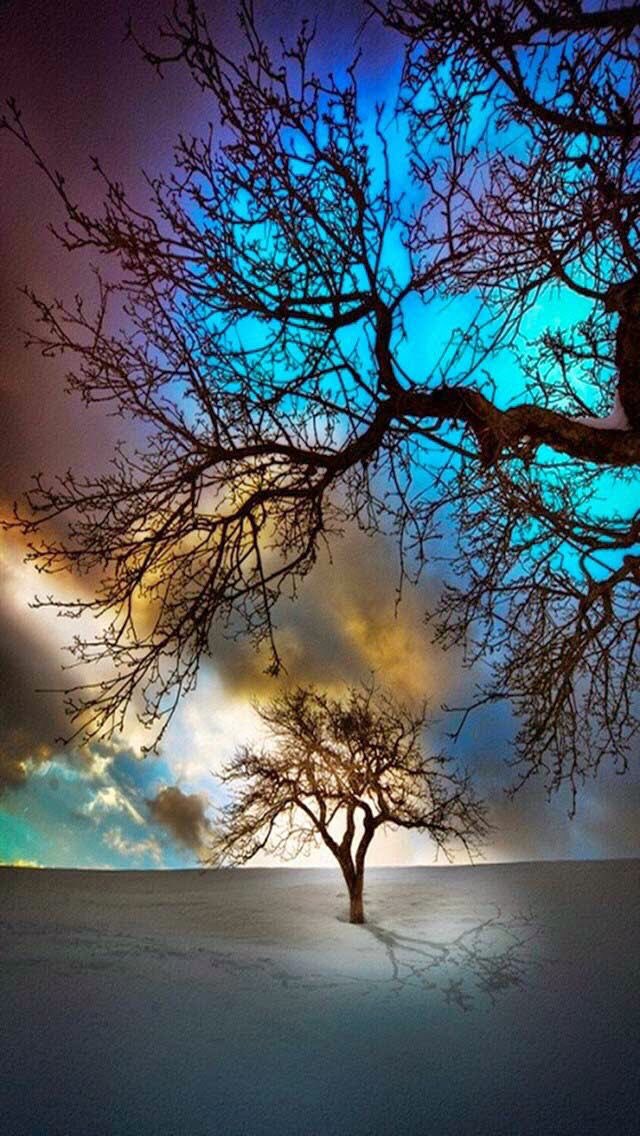 𝓜𝓮𝓱𝓻𝓲💫 tweet media