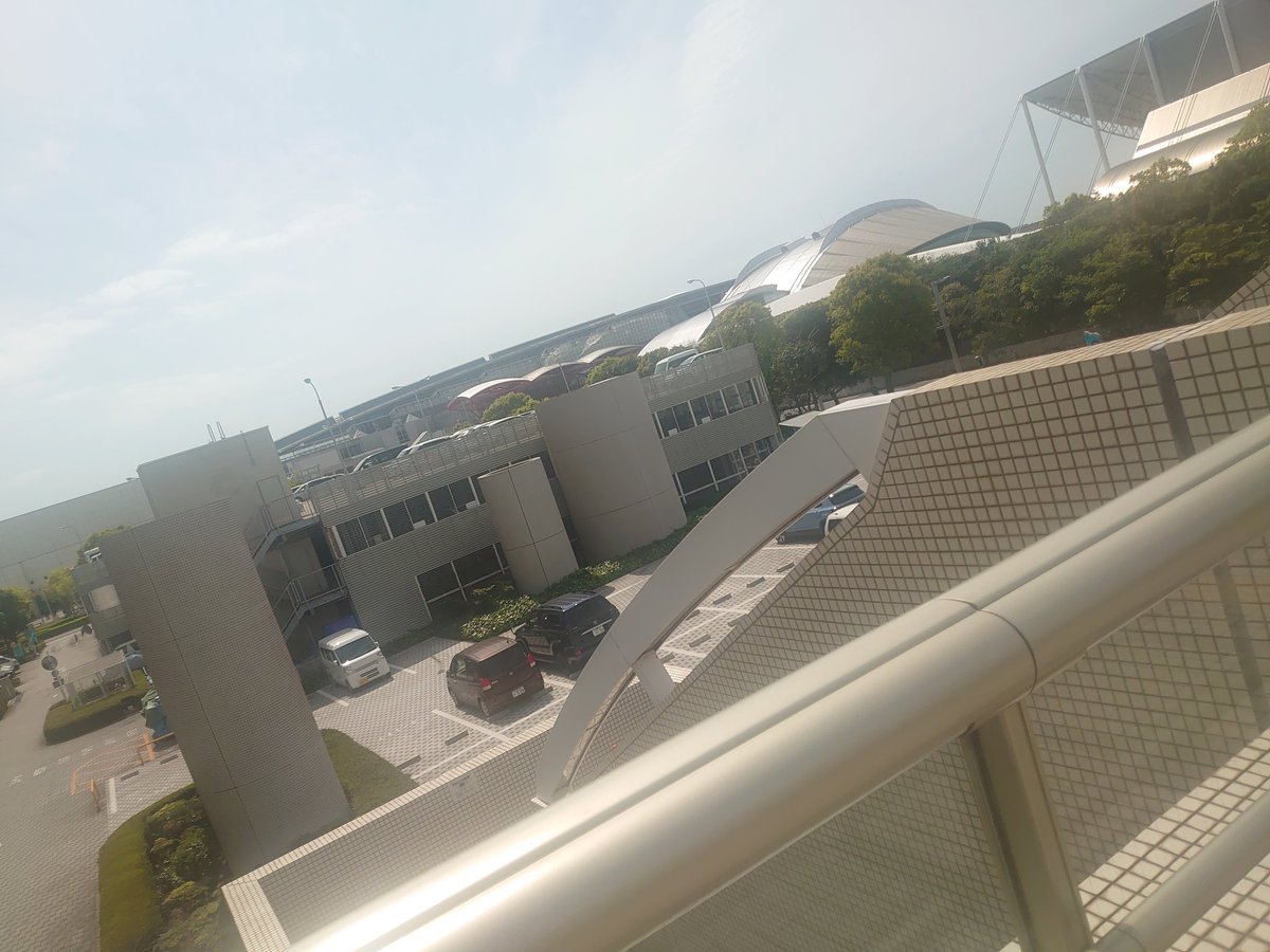 よはりゅう👾 tweet media