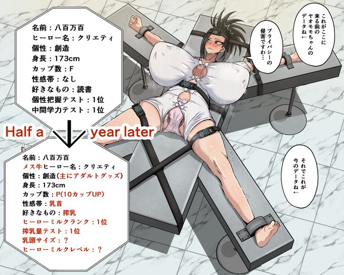 ヤオモモステータス遍歴 