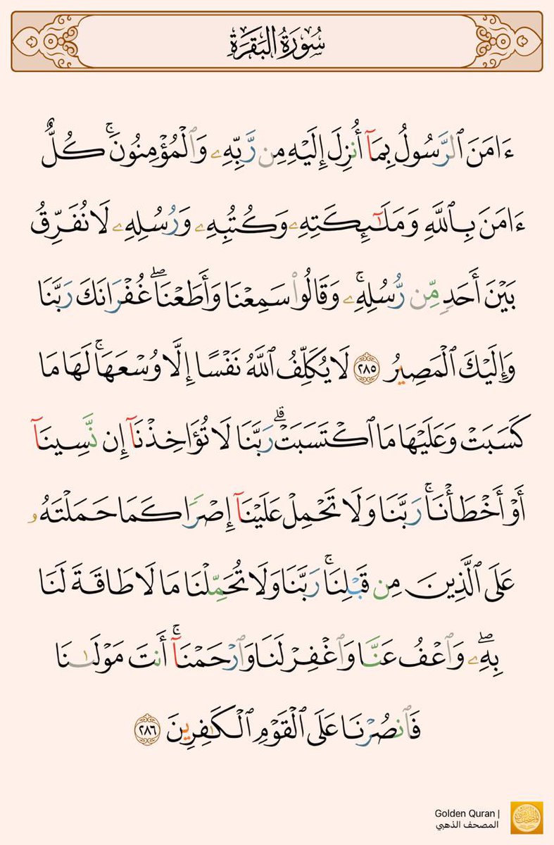 أنا tweet media