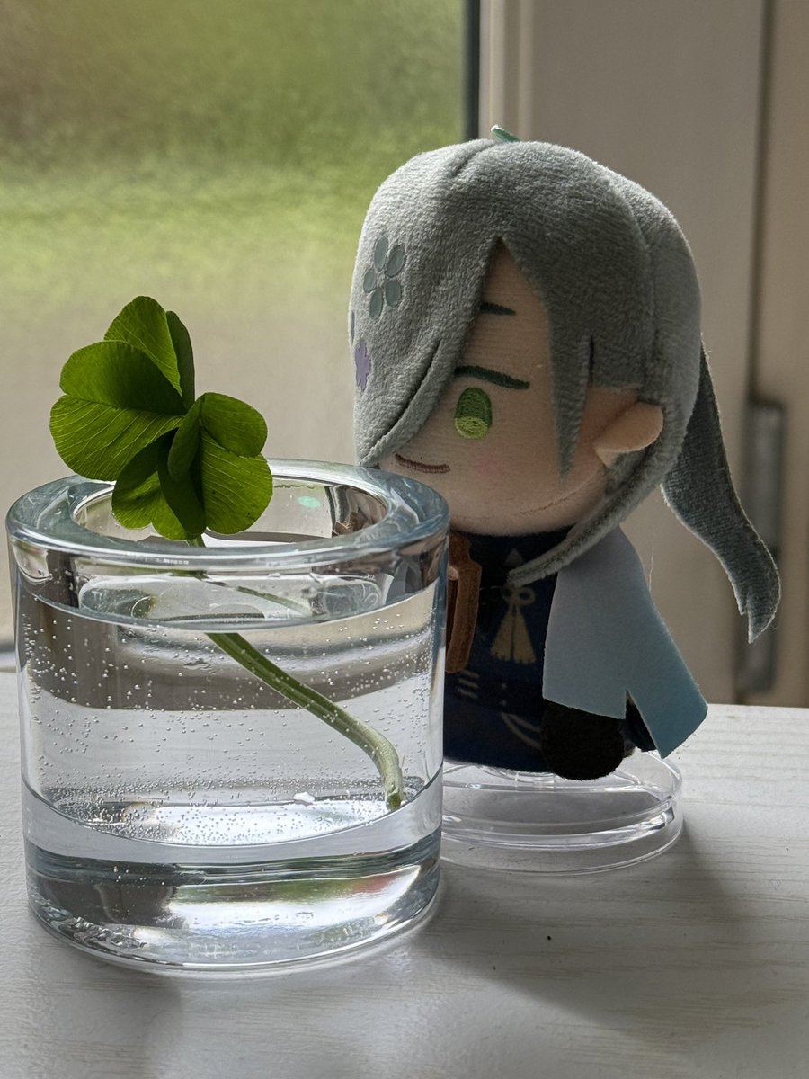 ゆうあ🌸🦀🐚 tweet media