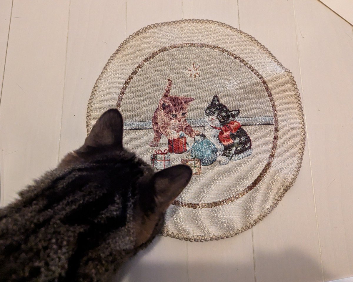 役立たずの雌豚CAMO tweet media