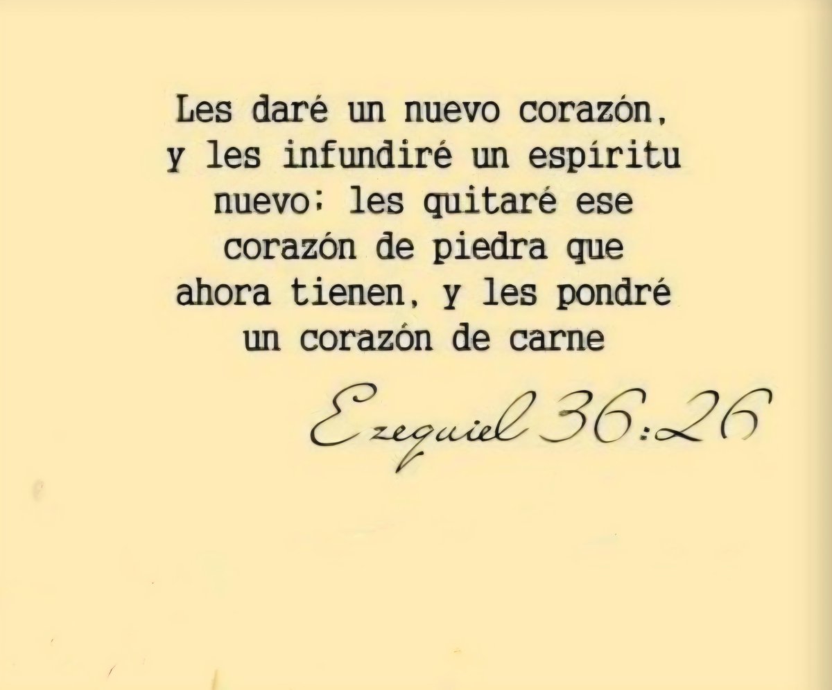 Beltran Rafael Gil tweet media