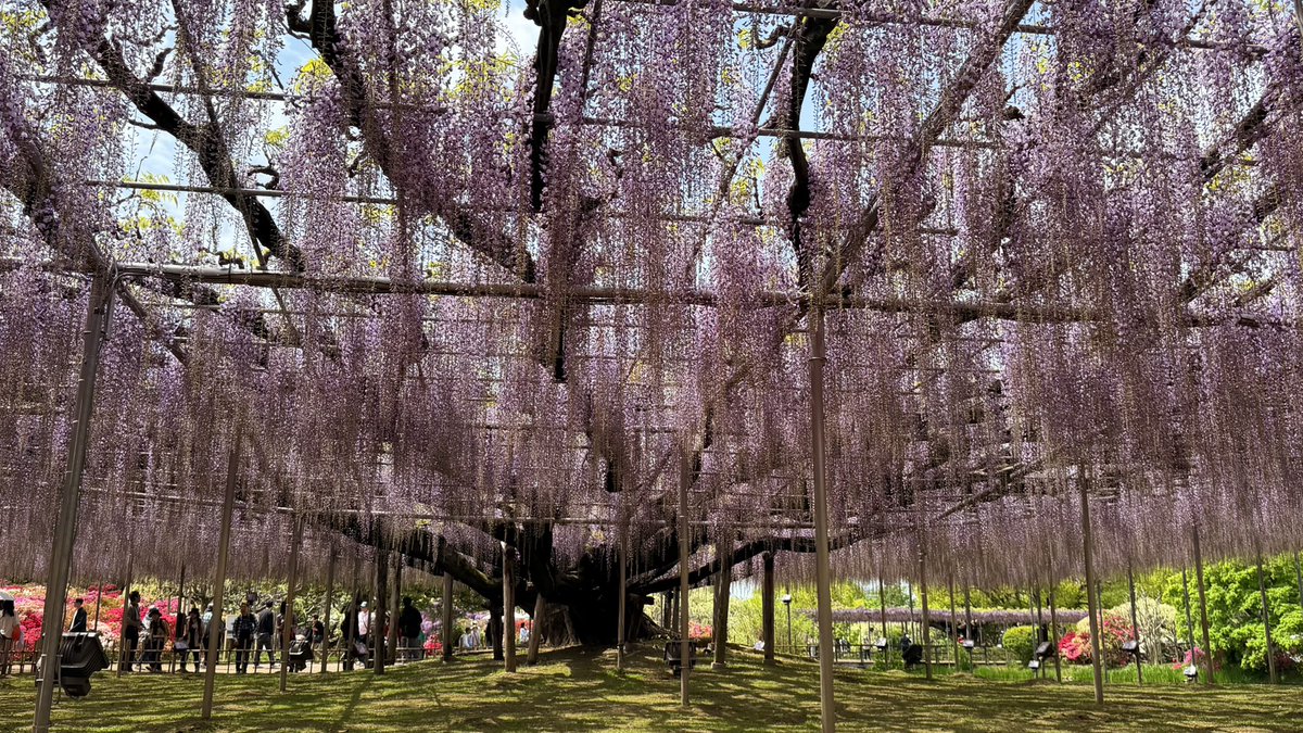 なか@だらだら tweet media