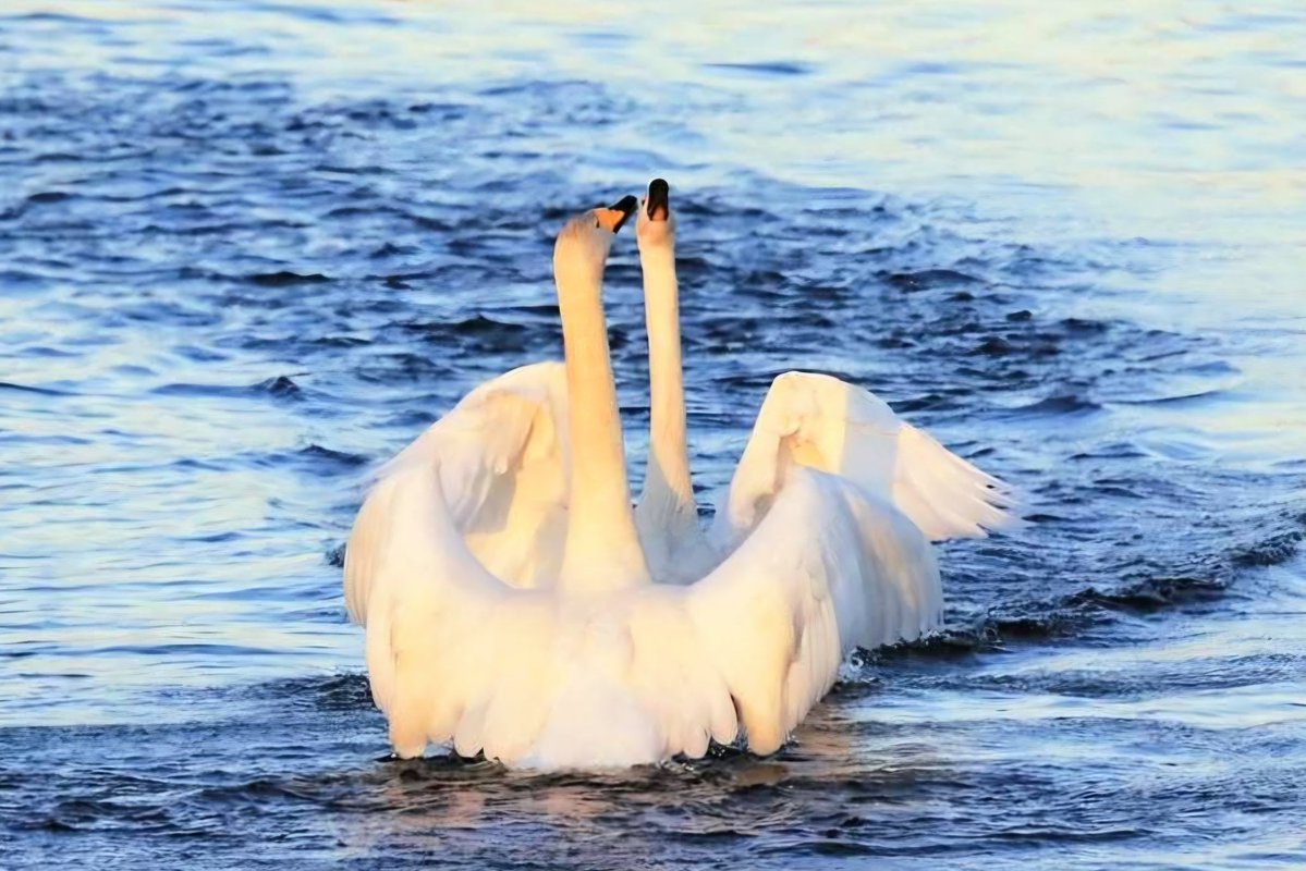 pekka.k.hatunen tweet media