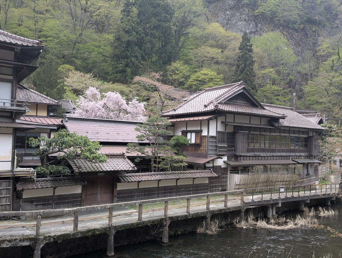 しまざき tweet media