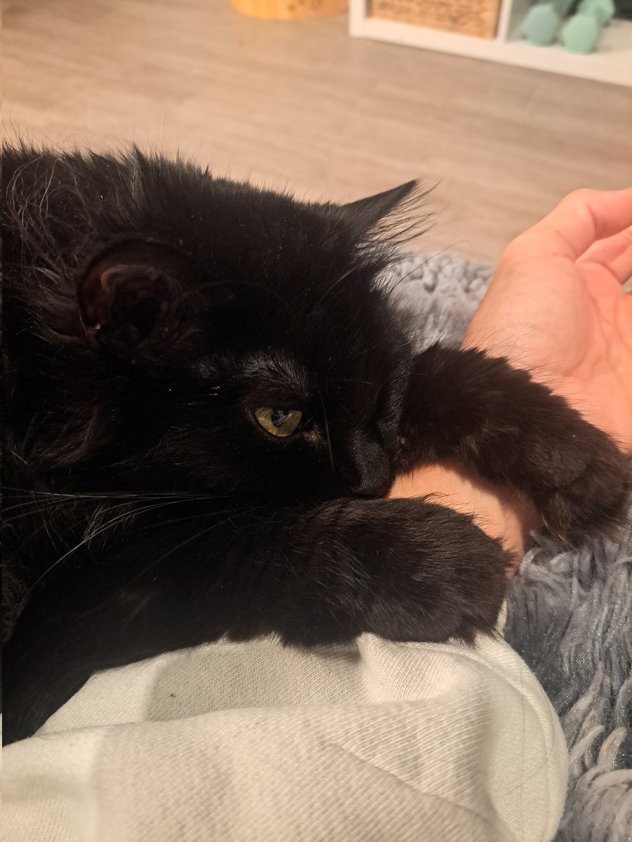 酸塊ﾅﾂﾒ tweet media