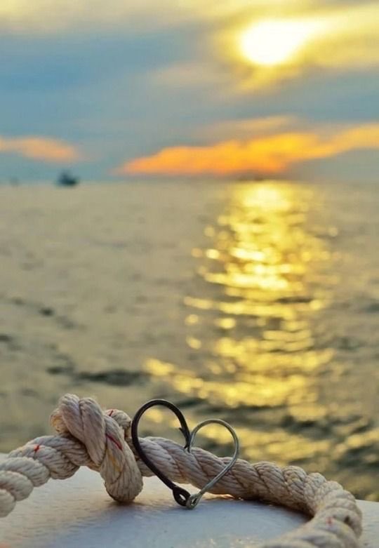 صباح الخير ☀️