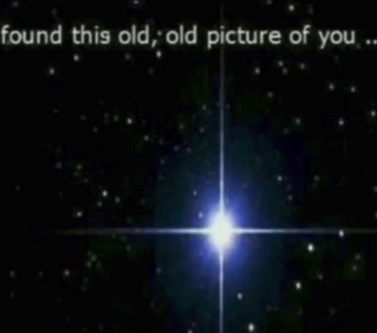 sunny / ann ⁠꜀(^. .^꜀ )꜆੭☆ tweet media